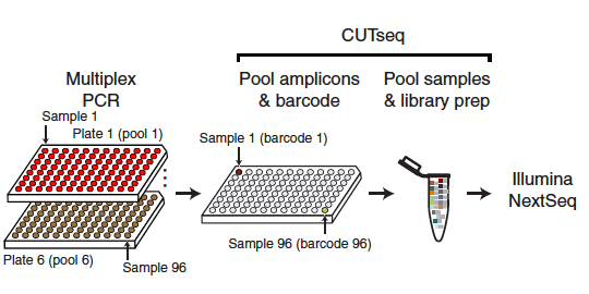 Cost-effective COVseq method could be used for large-scale genomic surveillance of VOCs