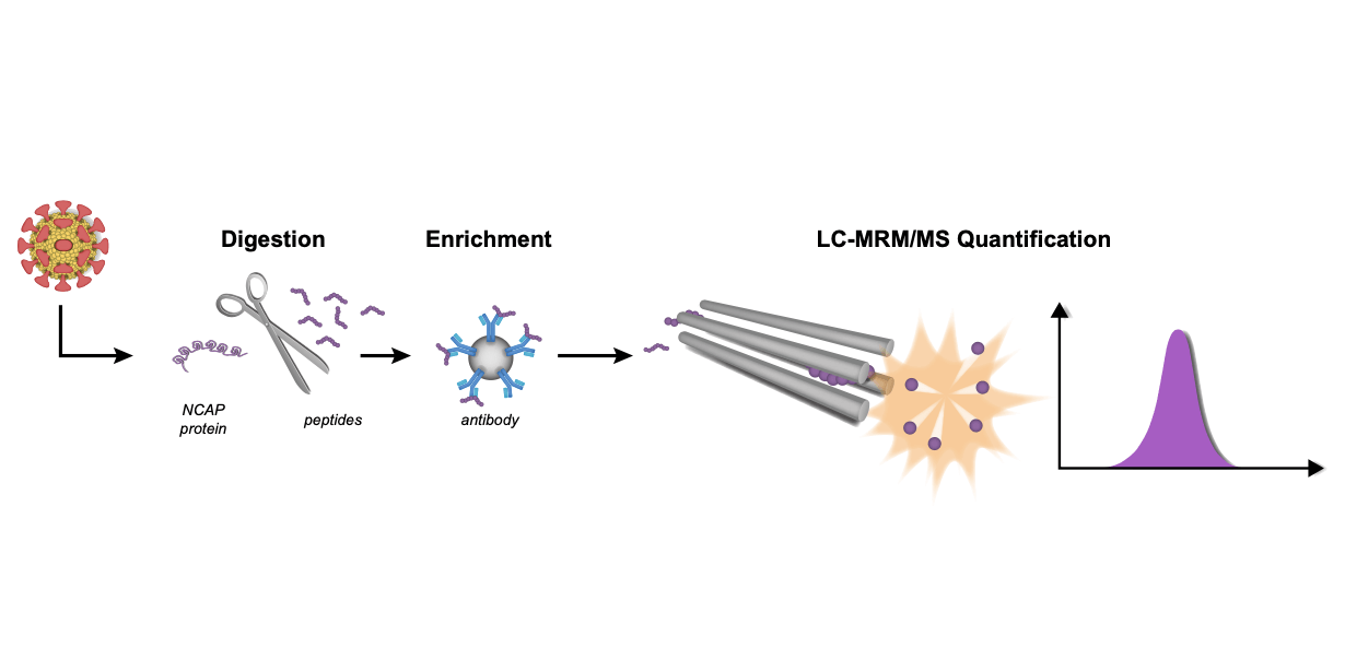 Mass spectrometry suggested as a future essential analytical contribution to Covid-19 pandemic readiness