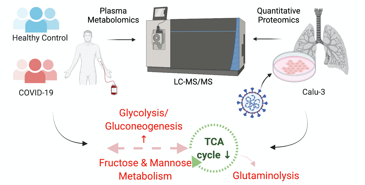 Metabolic perturbation of SARS-CoV-2 as a potential future therapeutic target