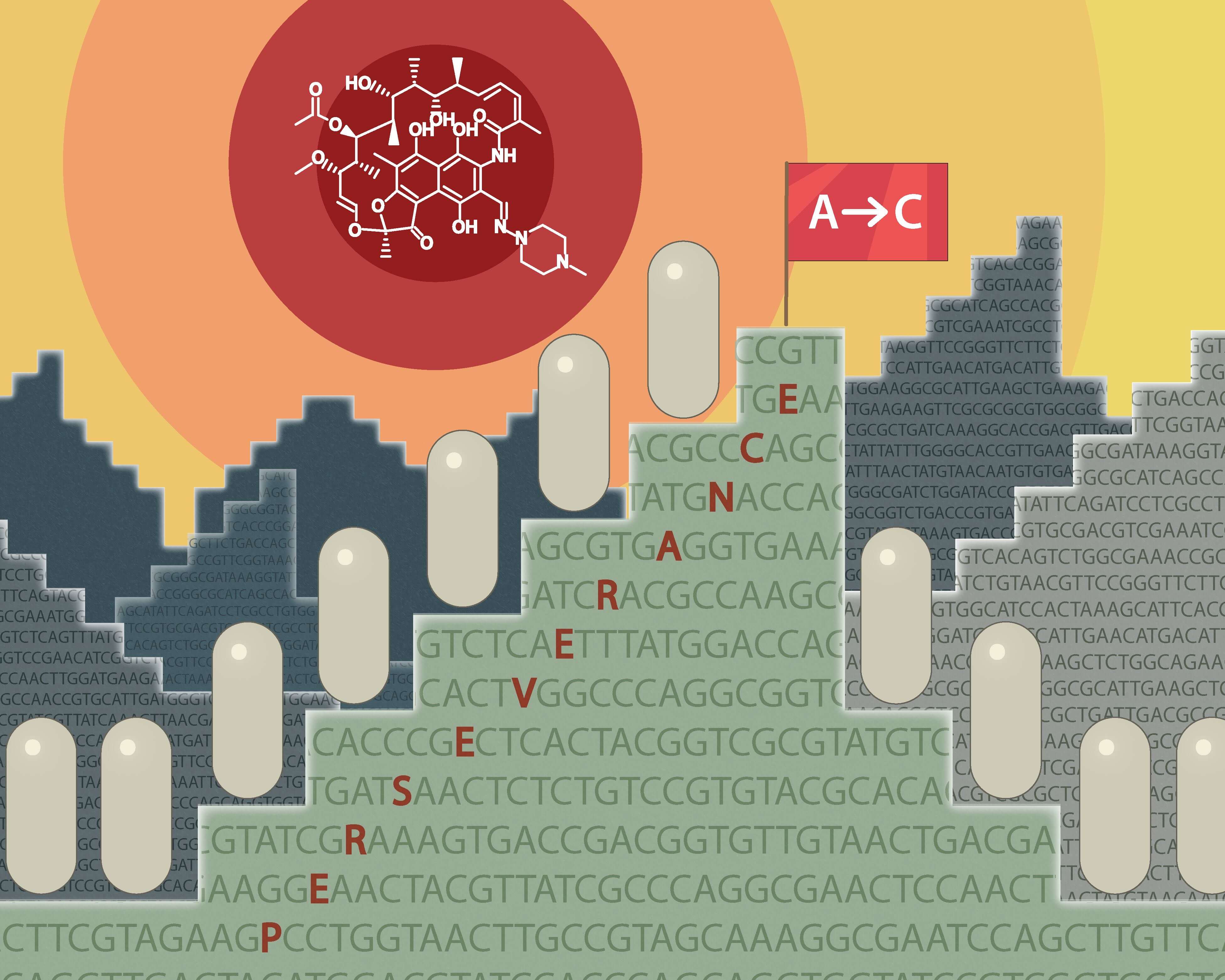 New study shows that perserverance can be the reason for antibiotic resistance development