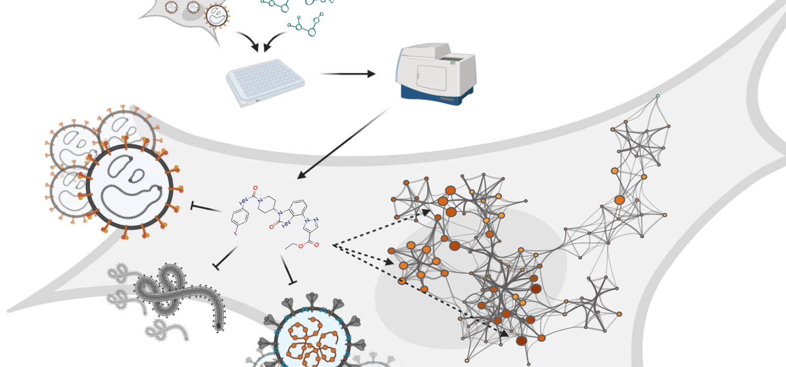 A novel approach to discover and characterize broad-spectrum antivirals