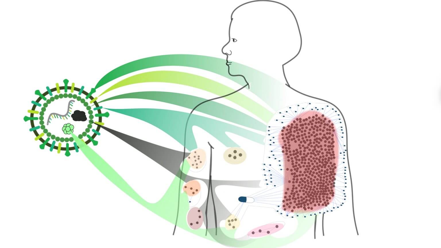 Drug repurposing identifies Fostamatinib as a drug with potentially high efficacy in COVID-19 treatment