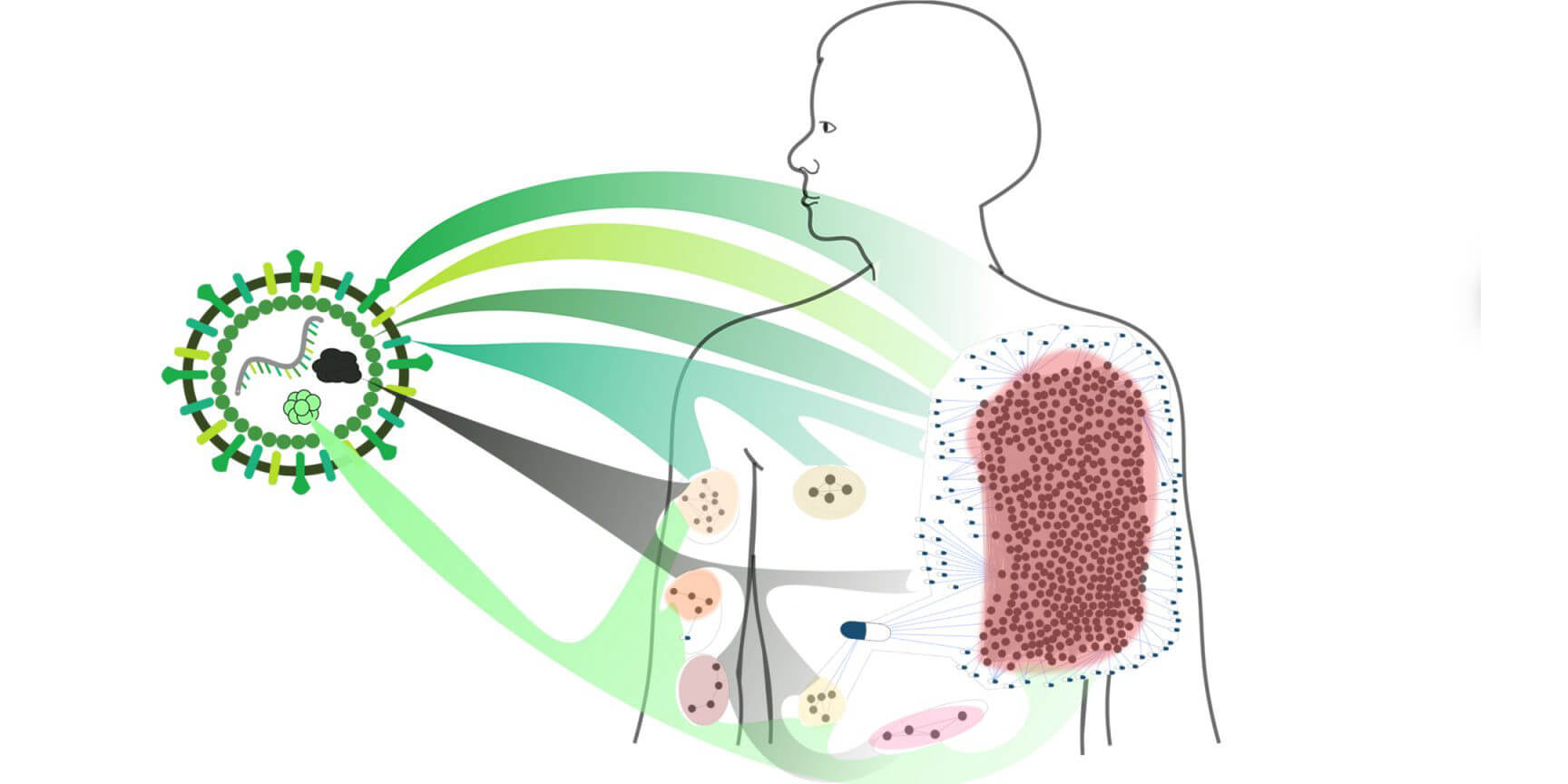 Drug repurposing identifies Fostamatinib as a drug with potentially high efficacy in COVID-19 treatment