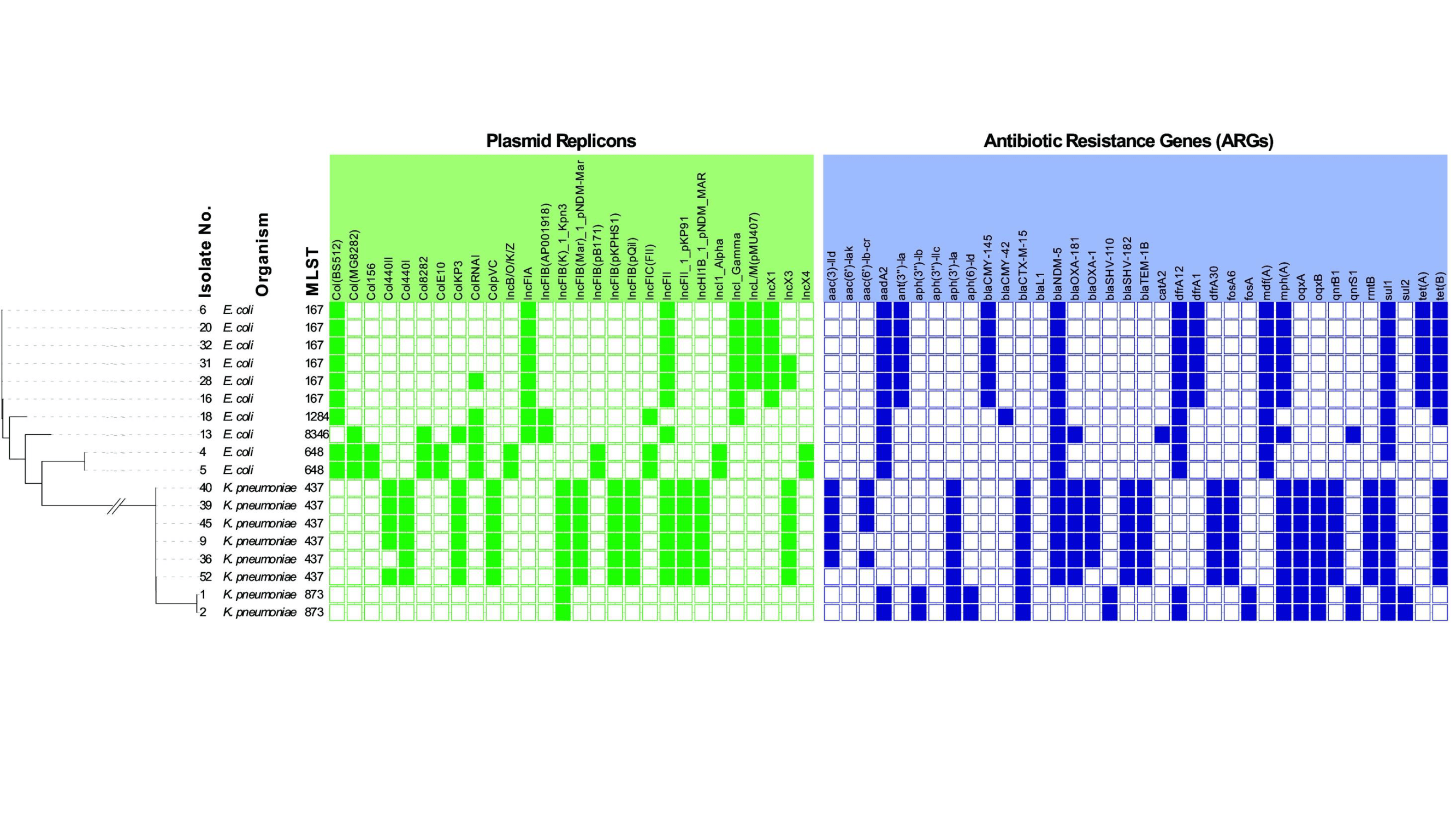 Multidrug‑resistant Enterobacterales in Swedish wastewater effluent