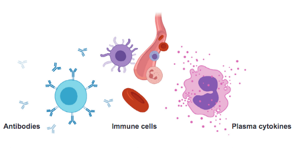 Pathogenesis of hyperinflammatory syndrome associated with COVID-19 in children