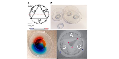 Clinical validation of novel methods to diagnose antibiotic interactions and heteroresistance